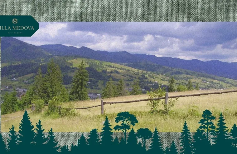 Scenic hillside meadow with a wooden fence, pine trees, and distant mountains; forest silhouettes border the bottom with Villa Medova logo top-left.