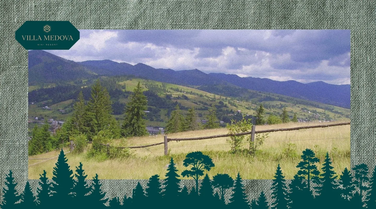 Selo Tukhlya chym tsikave ta yak splanuvaty vidpochynok Scenic hillside meadow with a wooden fence, pine trees, and distant mountains; forest silhouettes border the bottom with Villa Medova logo top-left.